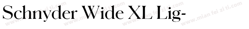 Schnyder Wide XL Lig字体转换